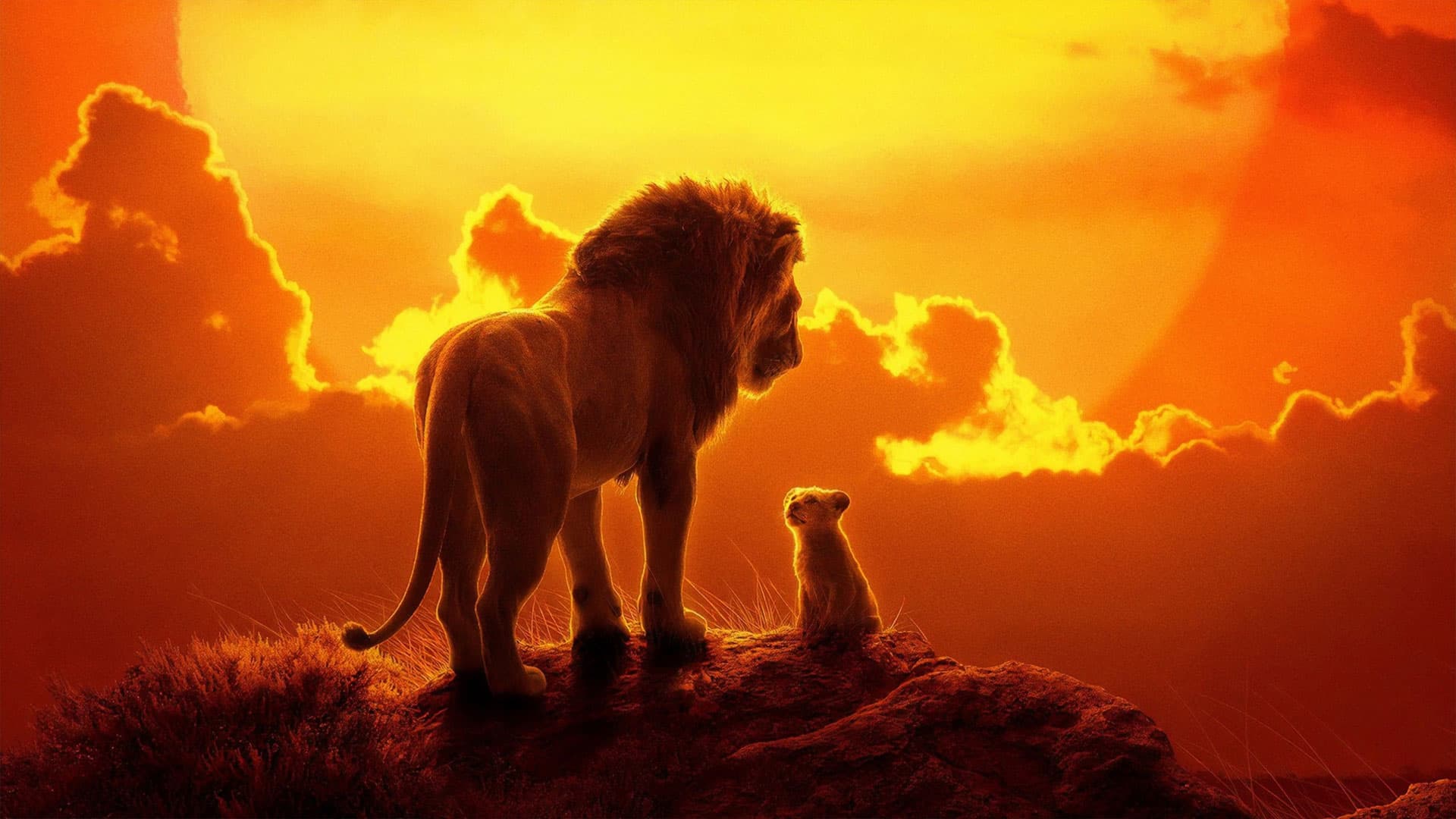 Lion King – Sarabi needs to swallow the pride