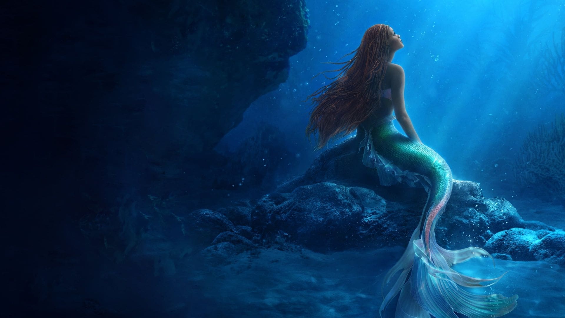 The Little Mermaid – Quarter Flounder