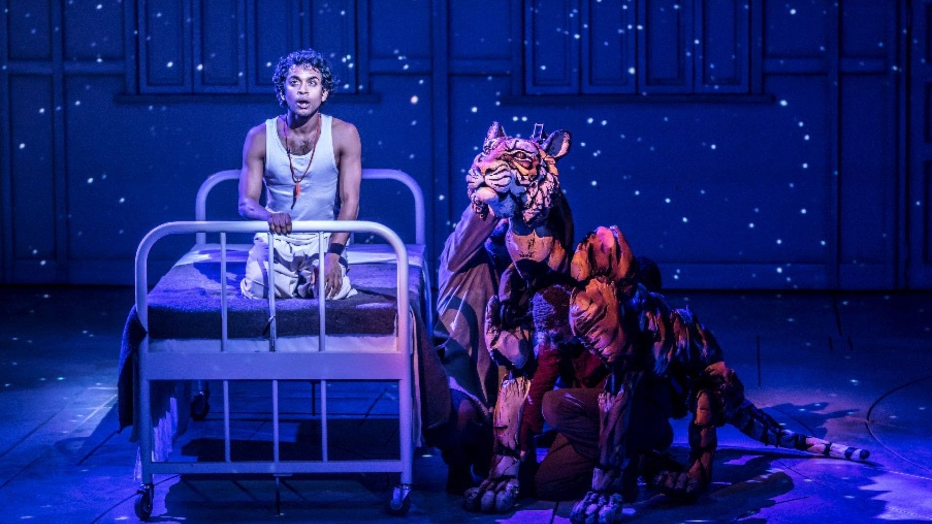 Succession, ATBAATB, Gotham Knights, Superman & Lois, Shazam! Fury of the Gods, Better & Life of Pi